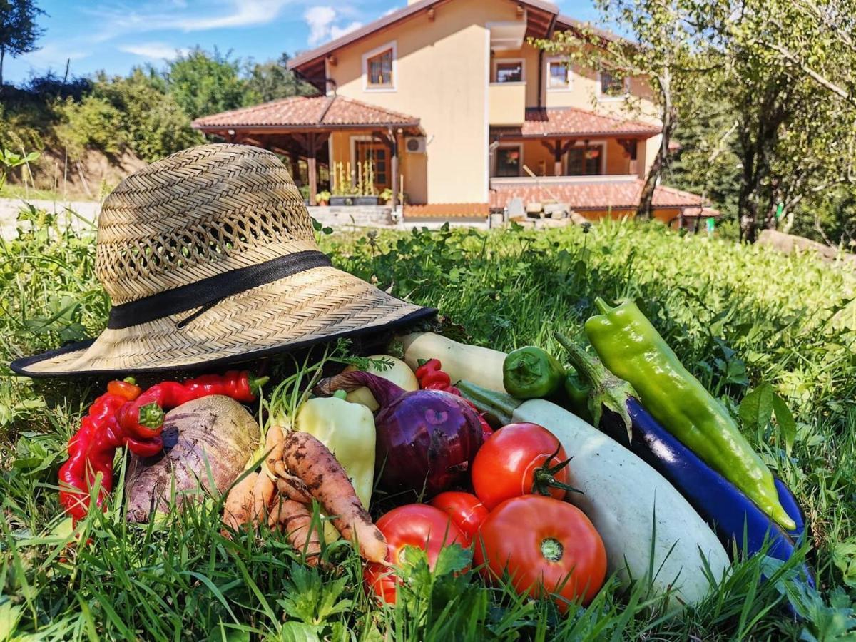 Farm Peternelj Ilirska Bistrica
