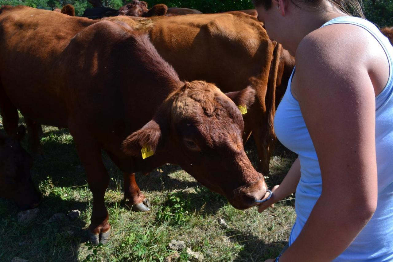 Farm Peternelj
