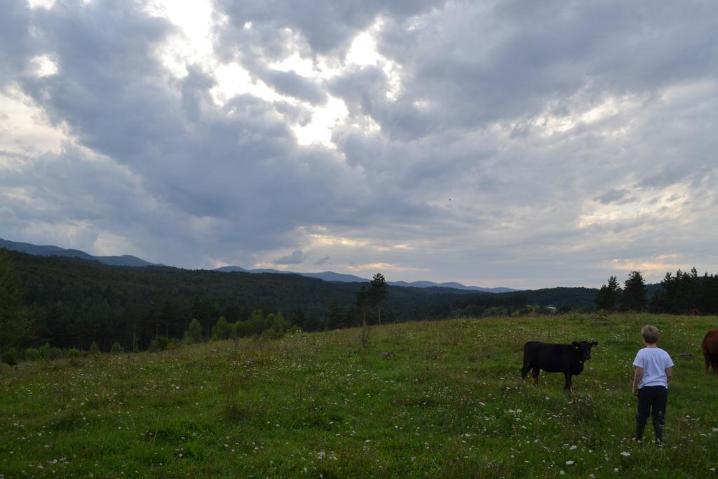 Farm Peternelj Bauernhof *